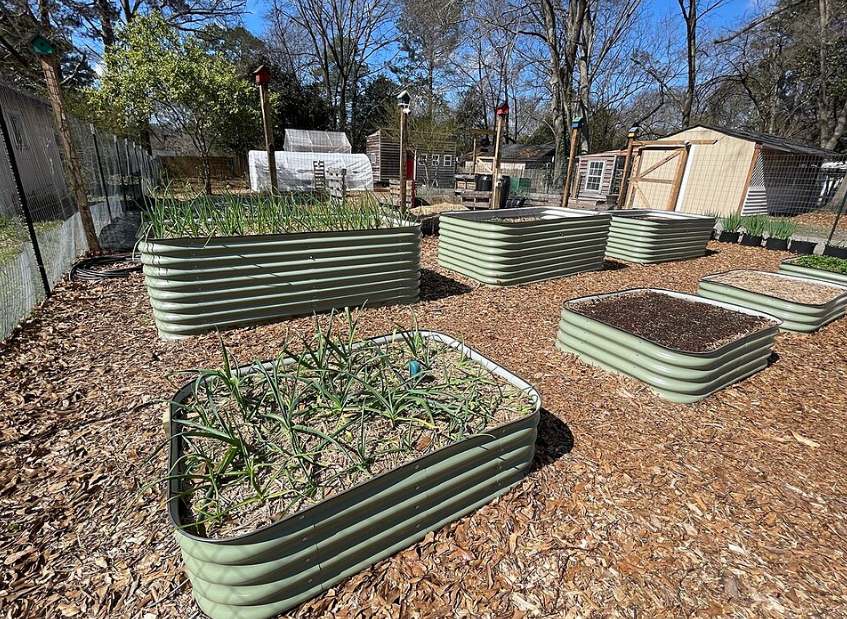 The Blueprint for Filling a Top Soil Raised Bed