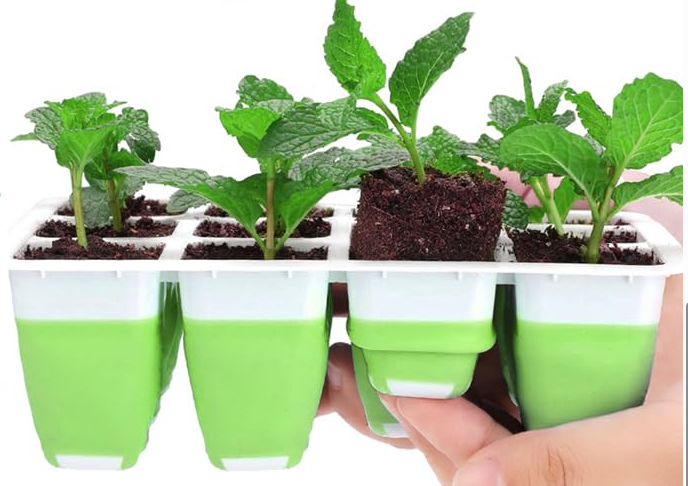 Burpee superseed tray
