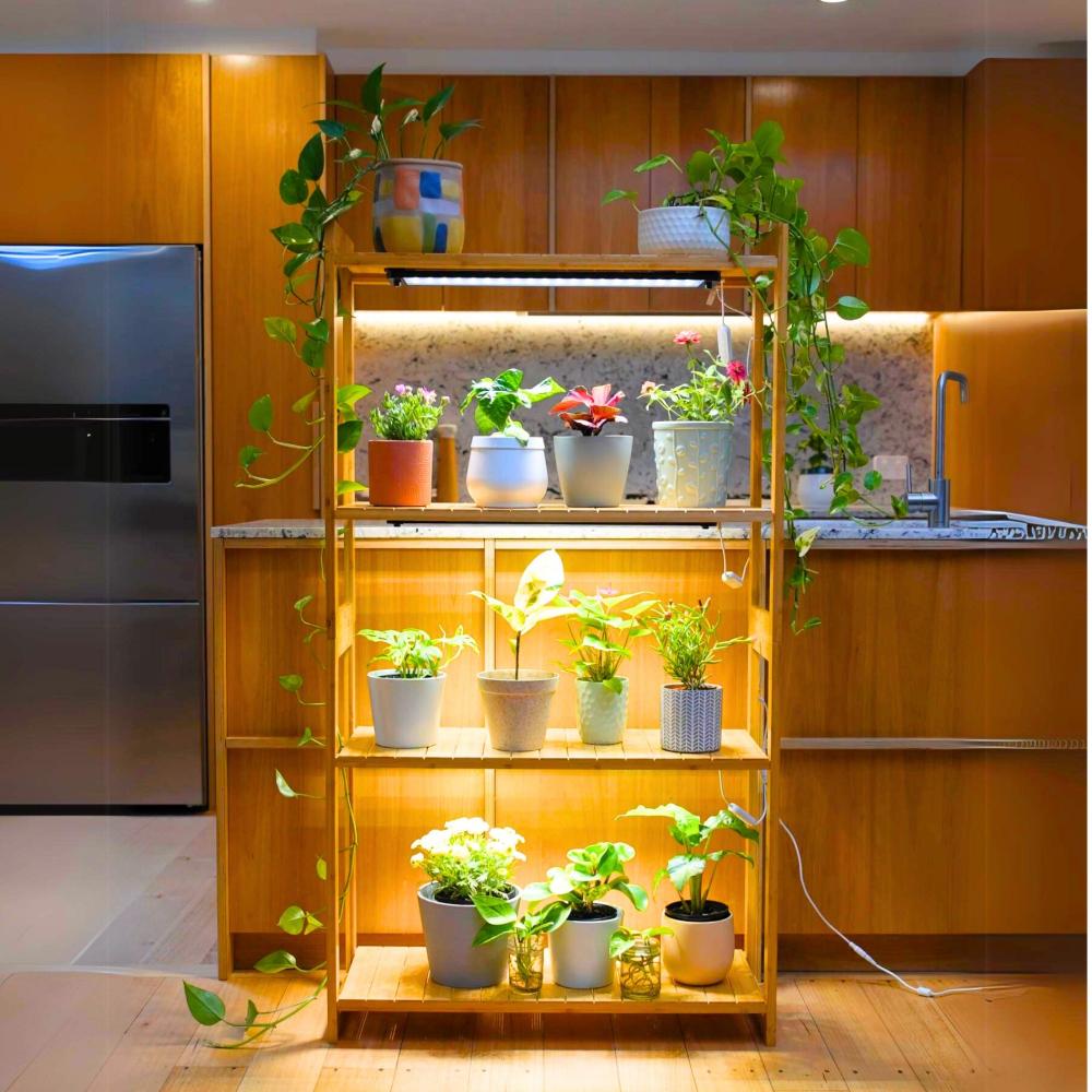 A space-saving vertical microgreen
