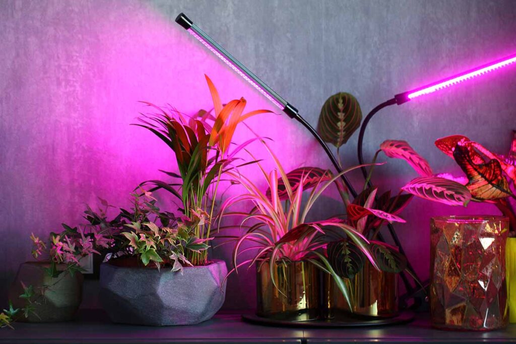 Best Grow Lights Feature