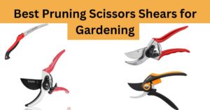 Best pruning scissors shears for gardening