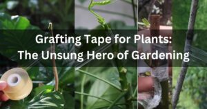 Grafting Tape for Plants: The Unsung Hero of Gardening