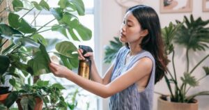 Mastering the Art of Indoor Gardening