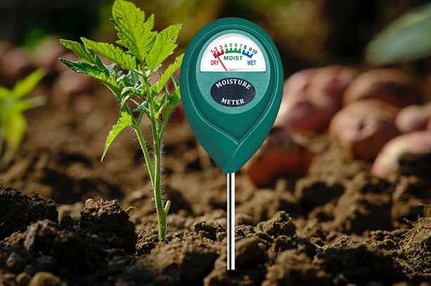 XLUX Soil Moisture Meter